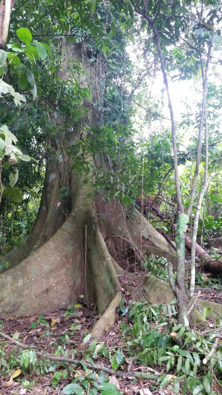 Panama Eco Resort Tierra Oscura Bagian luar foto