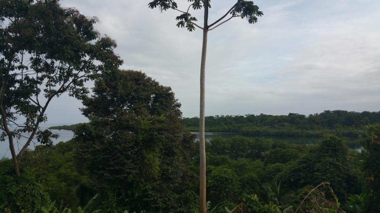 Panama Eco Resort Tierra Oscura Bagian luar foto