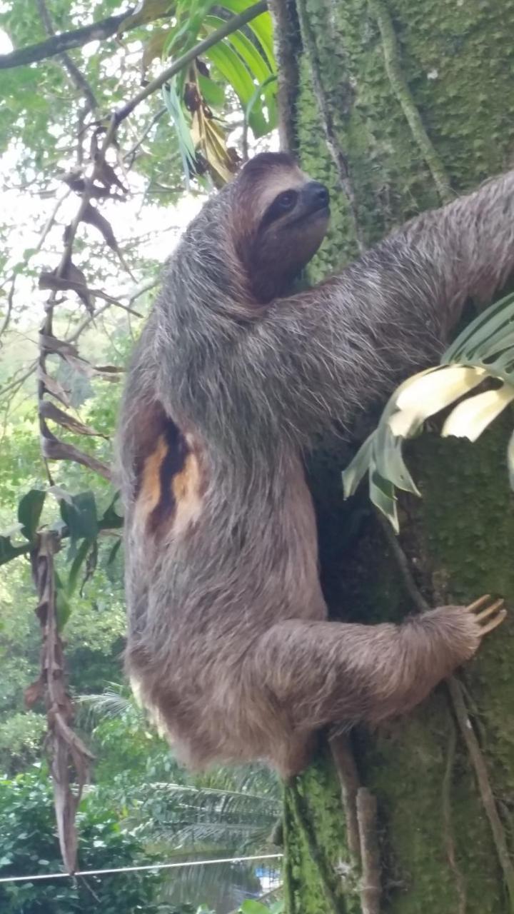 Panama Eco Resort Tierra Oscura Bagian luar foto