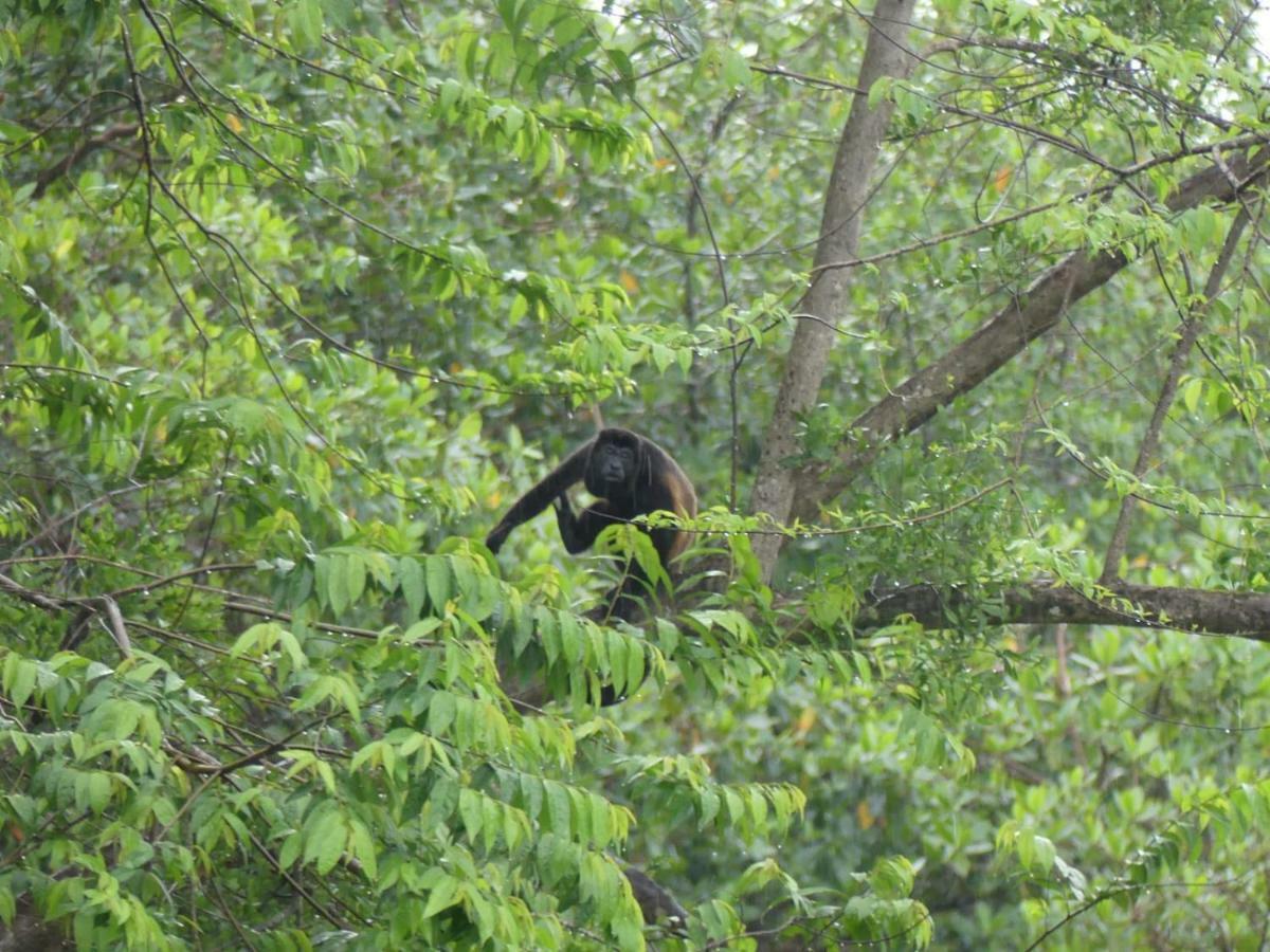 Panama Eco Resort Tierra Oscura Bagian luar foto