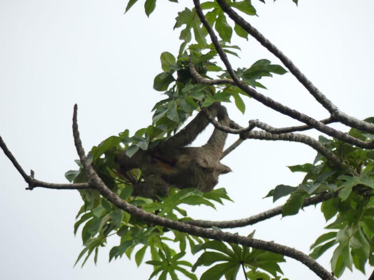Panama Eco Resort Tierra Oscura Bagian luar foto
